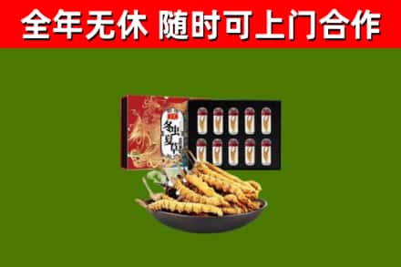 凉山回收冬虫夏草价格